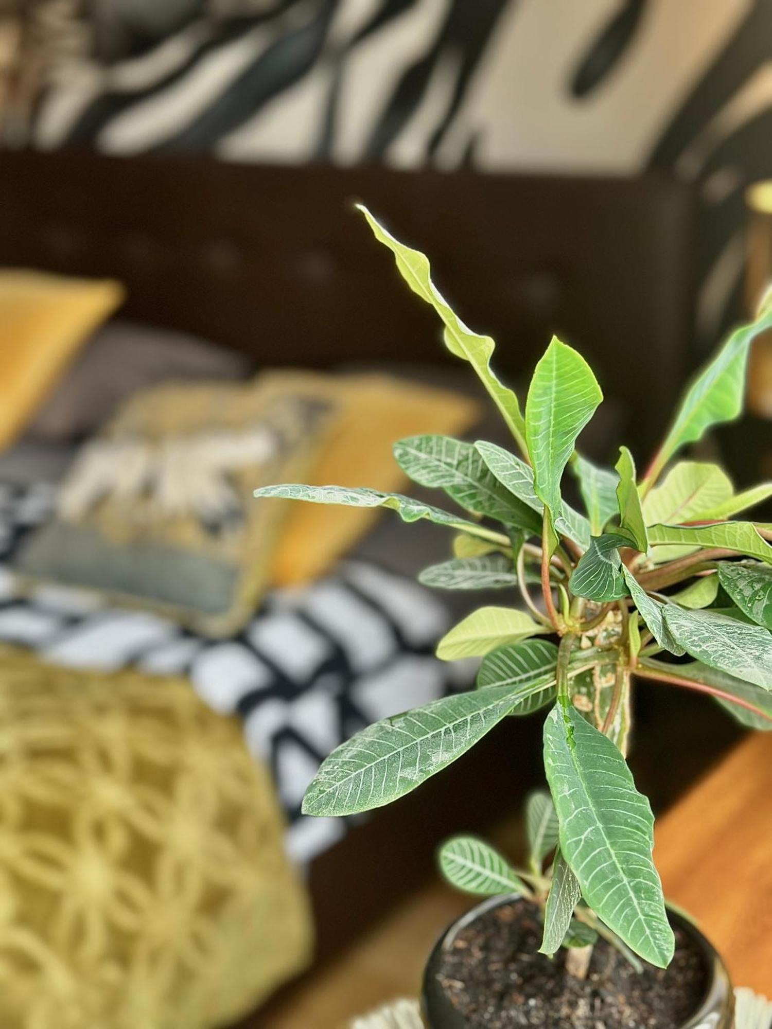 Africa Apartment Warsaw Ngoại thất bức ảnh